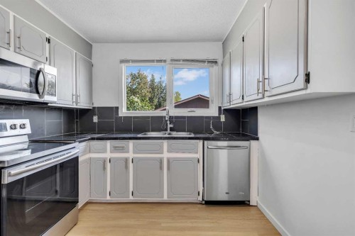 20 Whitmire Road Ne, Calgary, AB - Indoor Photo Showing Kitchen With Double Sink