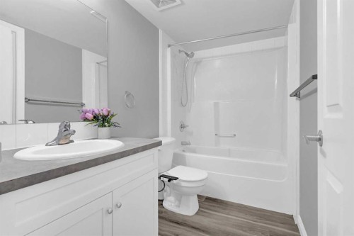 103-5555 Falsbridge Drive Ne, Calgary, AB - Indoor Photo Showing Bathroom