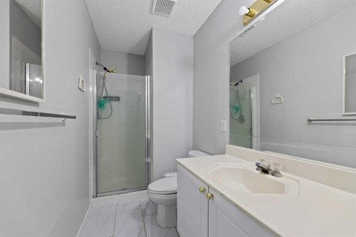 14 Tarington Park Ne, Calgary, AB - Indoor Photo Showing Bathroom