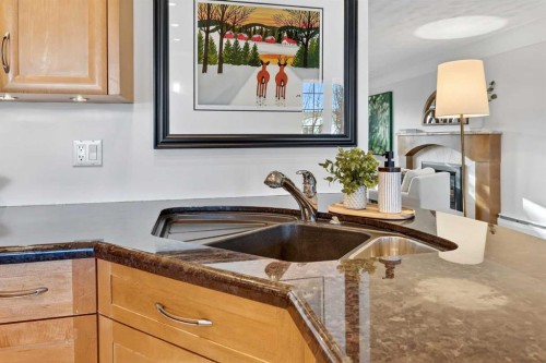 1659 St Andrews Place Nw, Calgary, AB - Indoor Photo Showing Kitchen With Double Sink