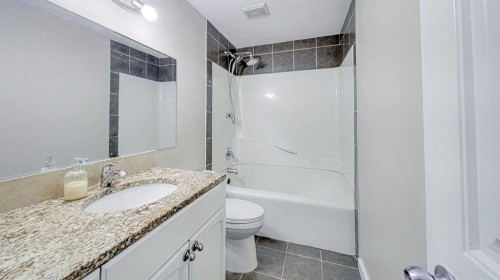 268 Falton Drive Ne, Calgary, AB - Indoor Photo Showing Bathroom