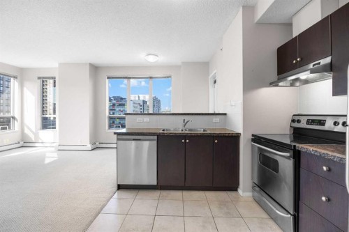515-1053 10 Street Sw, Calgary, AB - Indoor Photo Showing Kitchen With Stainless Steel Kitchen With Double Sink