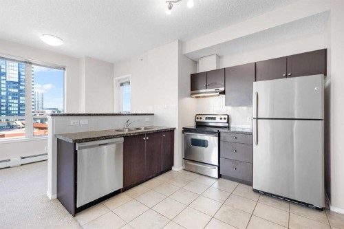 515-1053 10 Street Sw, Calgary, AB - Indoor Photo Showing Kitchen With Stainless Steel Kitchen