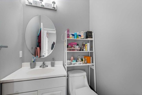 17 Saddlecrest Crescent Ne, Calgary, AB - Indoor