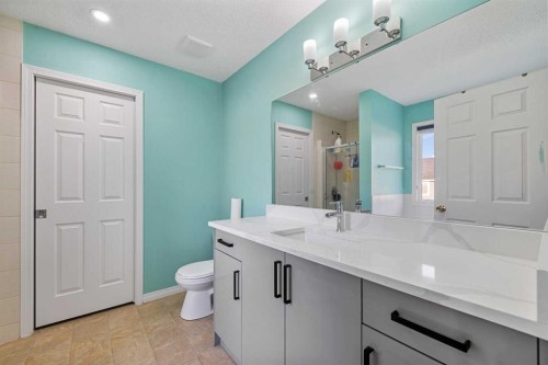 17 Saddlecrest Crescent Ne, Calgary, AB - Indoor Photo Showing Bathroom