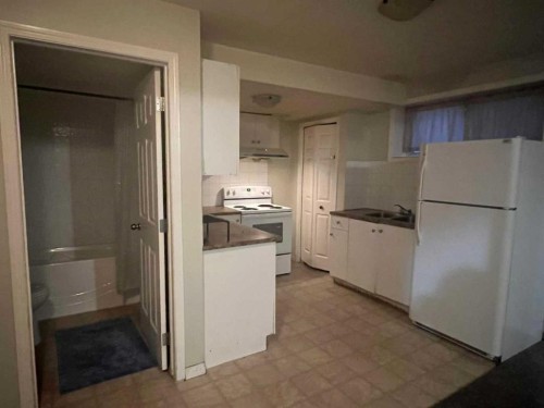 17 Saddlecrest Crescent Ne, Calgary, AB - Indoor Photo Showing Kitchen With Double Sink
