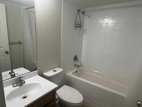 17 Saddlecrest Crescent Ne, Calgary, AB - Indoor Photo Showing Bathroom