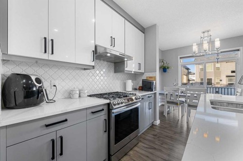 17 Saddlecrest Crescent Ne, Calgary, AB - Indoor Photo Showing Kitchen With Upgraded Kitchen