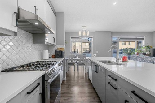 17 Saddlecrest Crescent Ne, Calgary, AB - Indoor Photo Showing Kitchen With Double Sink With Upgraded Kitchen