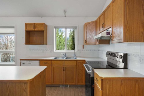 70 Anaheim Green Ne, Calgary, AB - Indoor Photo Showing Kitchen With Double Sink