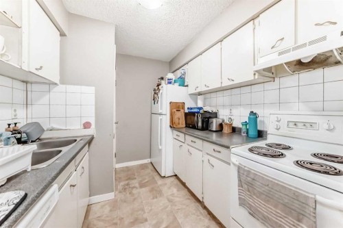4611 50 Street, Red Deer, AB - Indoor Photo Showing Kitchen With Double Sink
