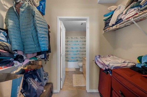 1406-333 Taravista Drive Ne, Calgary, AB - Indoor With Storage