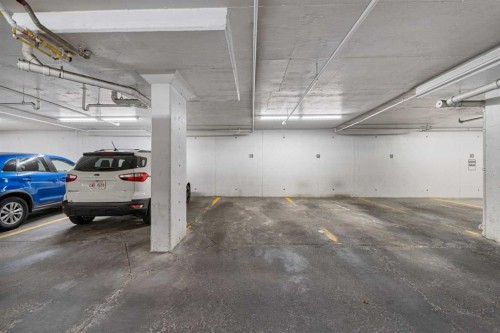1406-333 Taravista Drive Ne, Calgary, AB - Indoor Photo Showing Garage