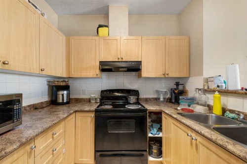 1406-333 Taravista Drive Ne, Calgary, AB - Indoor Photo Showing Kitchen With Double Sink