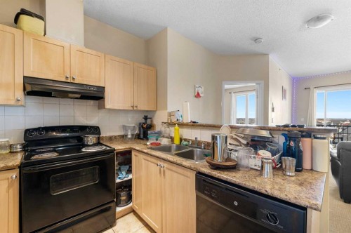 1406-333 Taravista Drive Ne, Calgary, AB - Indoor Photo Showing Kitchen With Double Sink