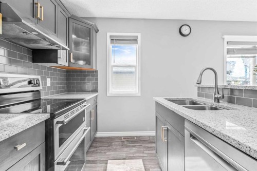 178 Evansmeade Common Nw, Calgary, AB - Indoor Photo Showing Kitchen With Double Sink With Upgraded Kitchen