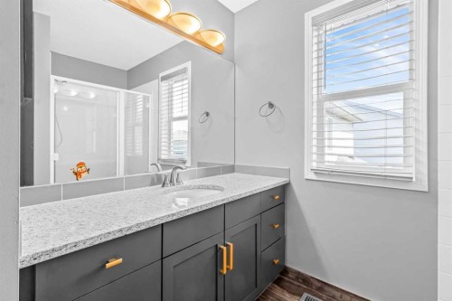 178 Evansmeade Common Nw, Calgary, AB - Indoor Photo Showing Bathroom