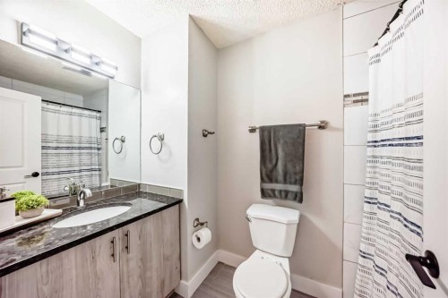 3920 44 Avenue Ne, Calgary, AB - Indoor Photo Showing Bathroom