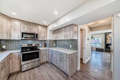 3920 44 Avenue Ne, Calgary, AB - Indoor Photo Showing Kitchen