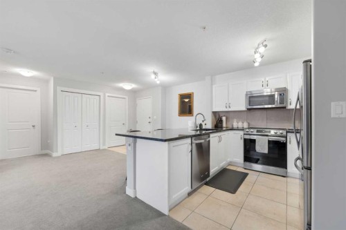 1105-6118 80 Avenue Ne, Calgary, AB - Indoor Photo Showing Kitchen