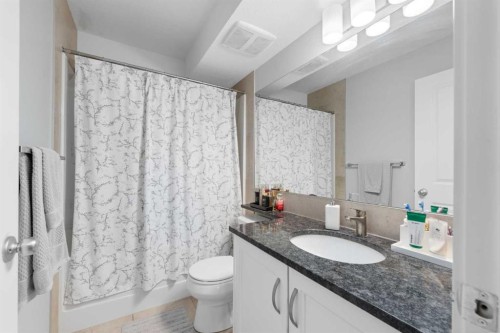 1105-6118 80 Avenue Ne, Calgary, AB - Indoor Photo Showing Bathroom