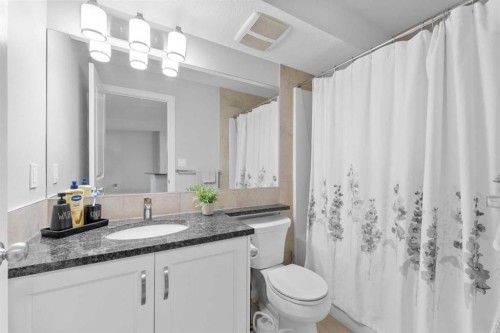 1105-6118 80 Avenue Ne, Calgary, AB - Indoor Photo Showing Bathroom