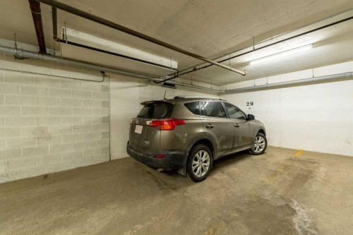 1105-6118 80 Avenue Ne, Calgary, AB - Indoor Photo Showing Garage