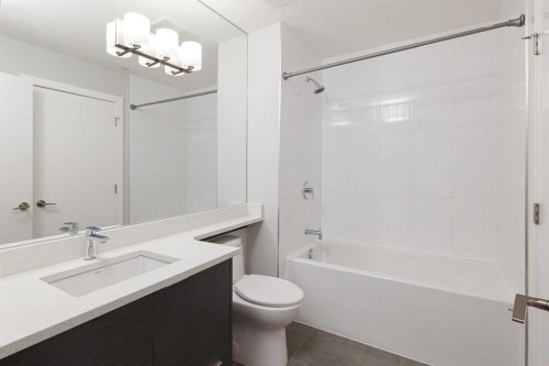 1119-95 Burma Star Road, Calgary, AB - Indoor Photo Showing Bathroom