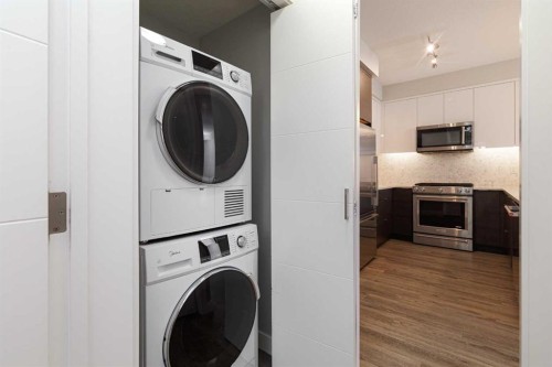 1119-95 Burma Star Road, Calgary, AB - Indoor Photo Showing Laundry Room