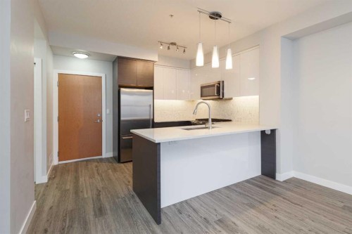 1119-95 Burma Star Road, Calgary, AB - Indoor Photo Showing Kitchen With Upgraded Kitchen