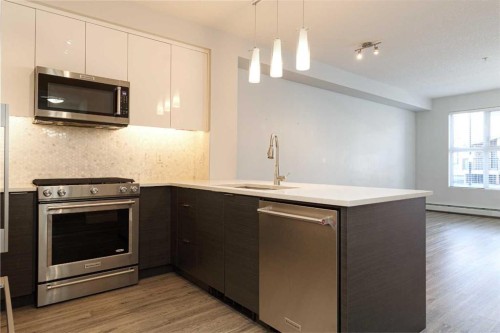 1119-95 Burma Star Road, Calgary, AB - Indoor Photo Showing Kitchen