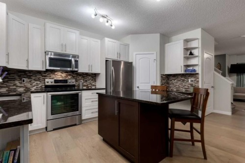 162 Walden Crescent Se, Calgary, AB - Indoor Photo Showing Kitchen With Upgraded Kitchen