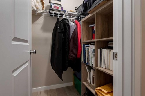 162 Walden Crescent Se, Calgary, AB - Indoor With Storage