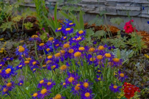 162 Walden Crescent Se, Calgary, AB -  With View