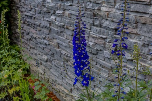 162 Walden Crescent Se, Calgary, AB -  With View