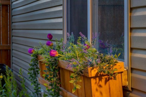 162 Walden Crescent Se, Calgary, AB - Outdoor