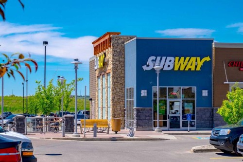 162 Walden Crescent Se, Calgary, AB - Outdoor