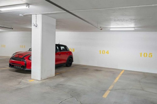 1102-1501 6 Street Sw, Calgary, AB - Indoor Photo Showing Garage