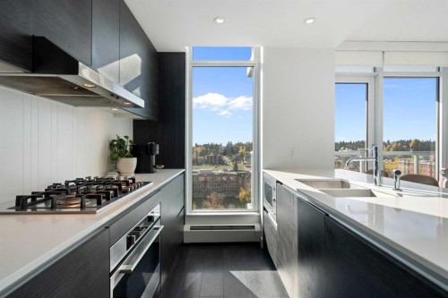 1102-1501 6 Street Sw, Calgary, AB - Indoor Photo Showing Kitchen With Double Sink With Upgraded Kitchen