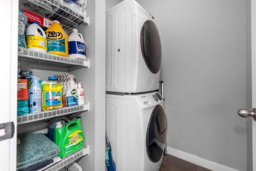 80 Legacy Reach Manor Se, Calgary, AB - Indoor Photo Showing Laundry Room