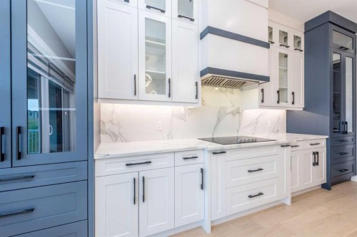 62 Waterford Road, Chestermere, AB - Indoor Photo Showing Kitchen