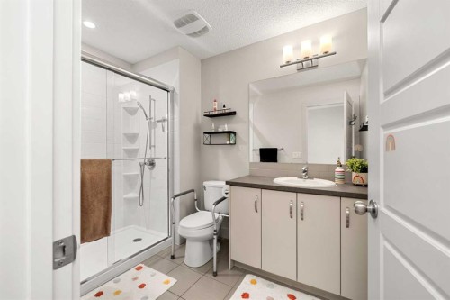 49 Marquis Grove Se, Calgary, AB - Indoor Photo Showing Bathroom