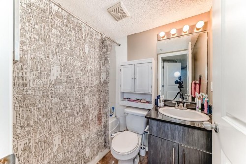 316-15 Saddlestone Way Ne, Calgary, AB - Indoor Photo Showing Bathroom