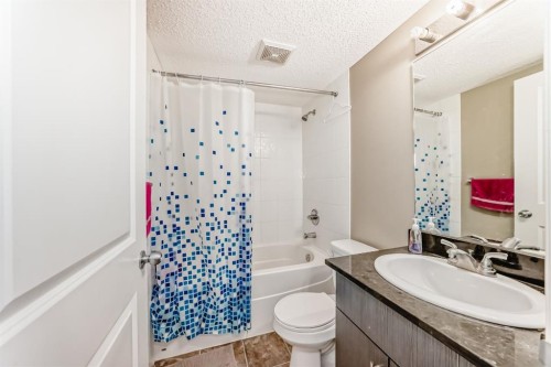 316-15 Saddlestone Way Ne, Calgary, AB - Indoor Photo Showing Bathroom