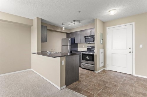 316-15 Saddlestone Way Ne, Calgary, AB - Indoor Photo Showing Kitchen
