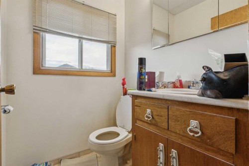 233 27 Avenue Ne, Calgary, AB - Indoor Photo Showing Bathroom