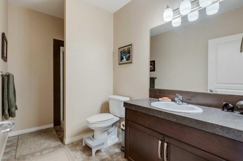 40 Muirfield Close, Lyalta, AB - Indoor Photo Showing Bathroom