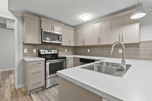 226 Cornerstone Avenue Ne, Calgary, AB - Indoor Photo Showing Kitchen With Stainless Steel Kitchen With Double Sink With Upgraded Kitchen