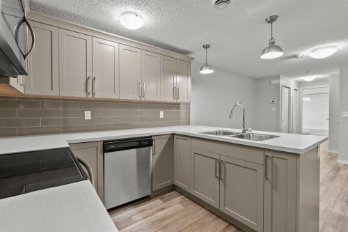 226 Cornerstone Avenue Ne, Calgary, AB - Indoor Photo Showing Kitchen With Double Sink With Upgraded Kitchen