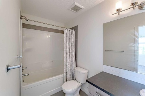 10 Walden Lane Se, Calgary, AB - Indoor Photo Showing Bathroom